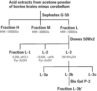 Review of Kyotorphin Research: A Mysterious Opioid Analgesic Dipeptide and Its Molecular, Physiological, and Pharmacological Characteristics
